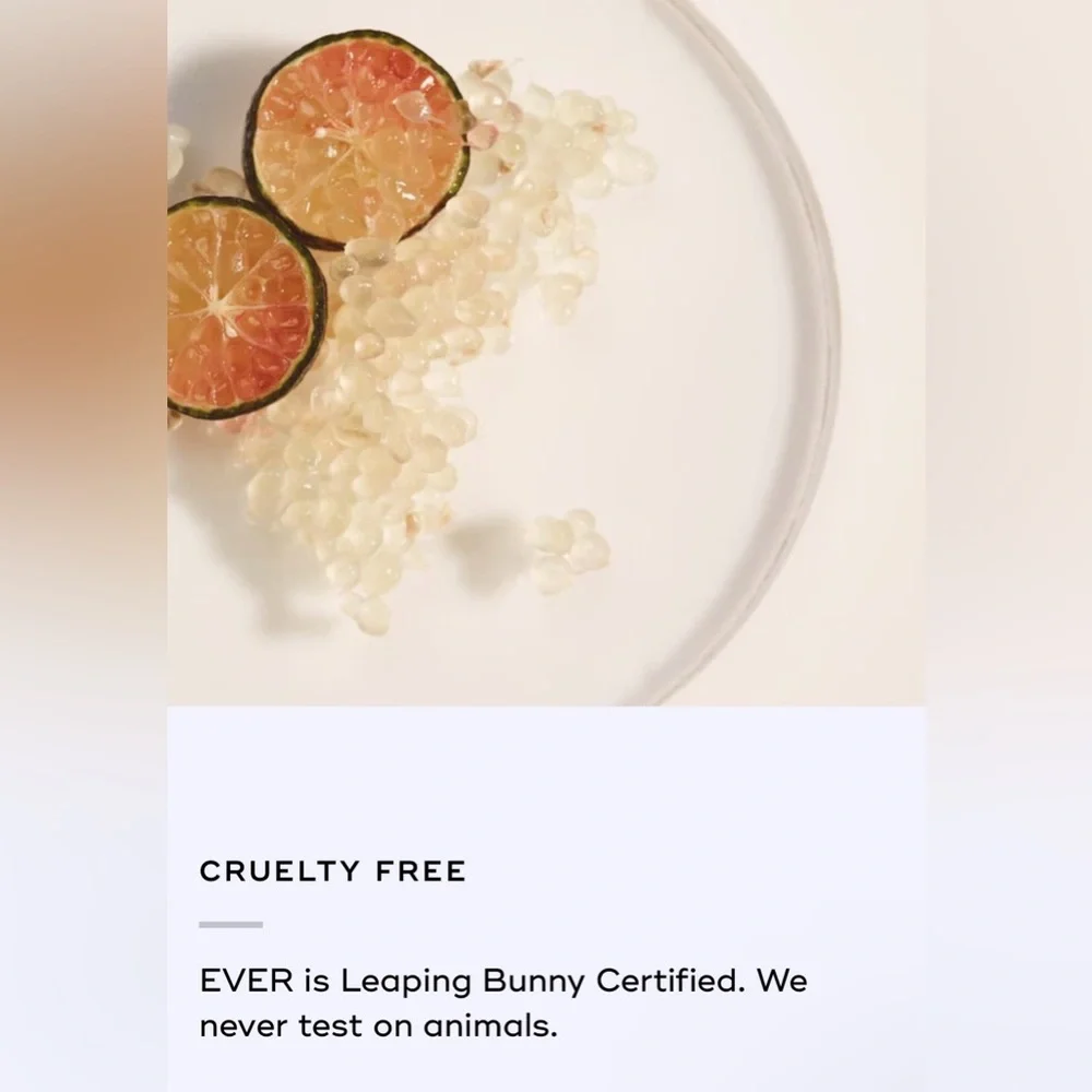 Ever Beauty | BLUR Perfecting Face Powder | Clean Beauty - NIB